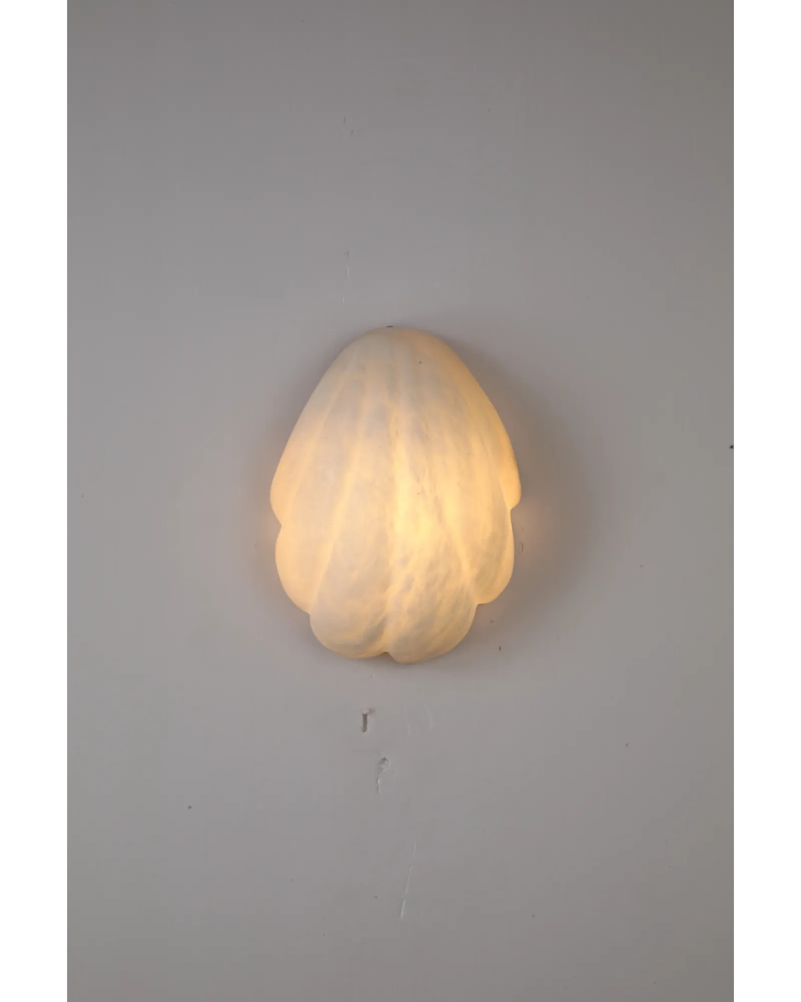 Coquille Sconce