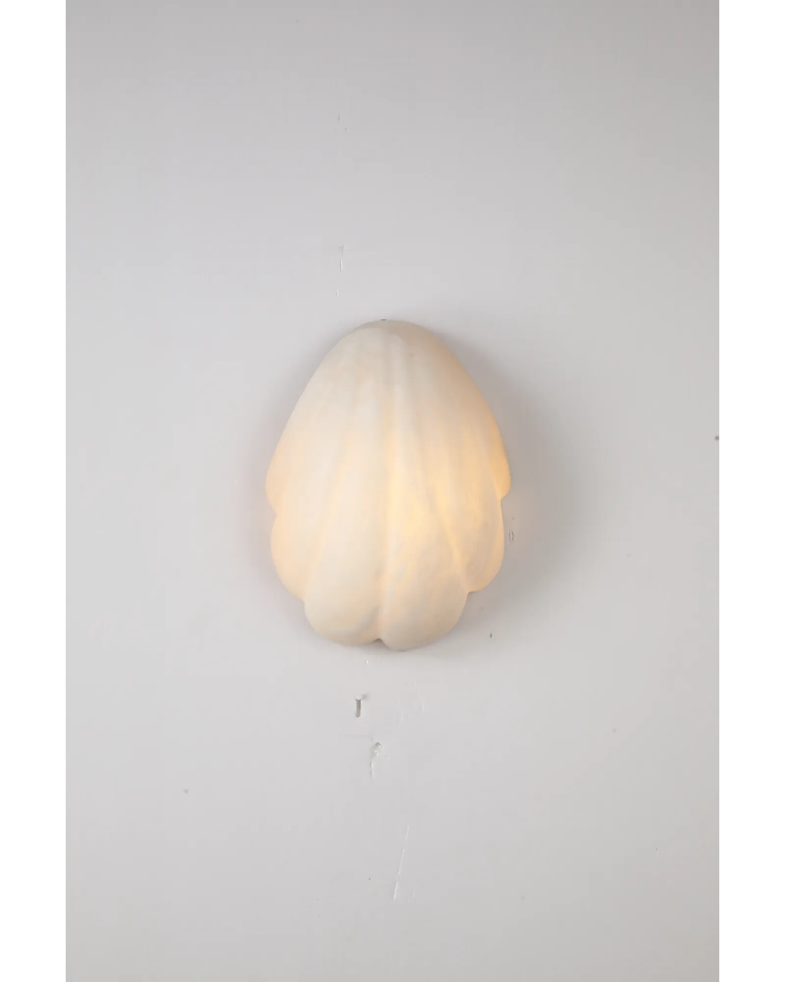 Coquille Sconce