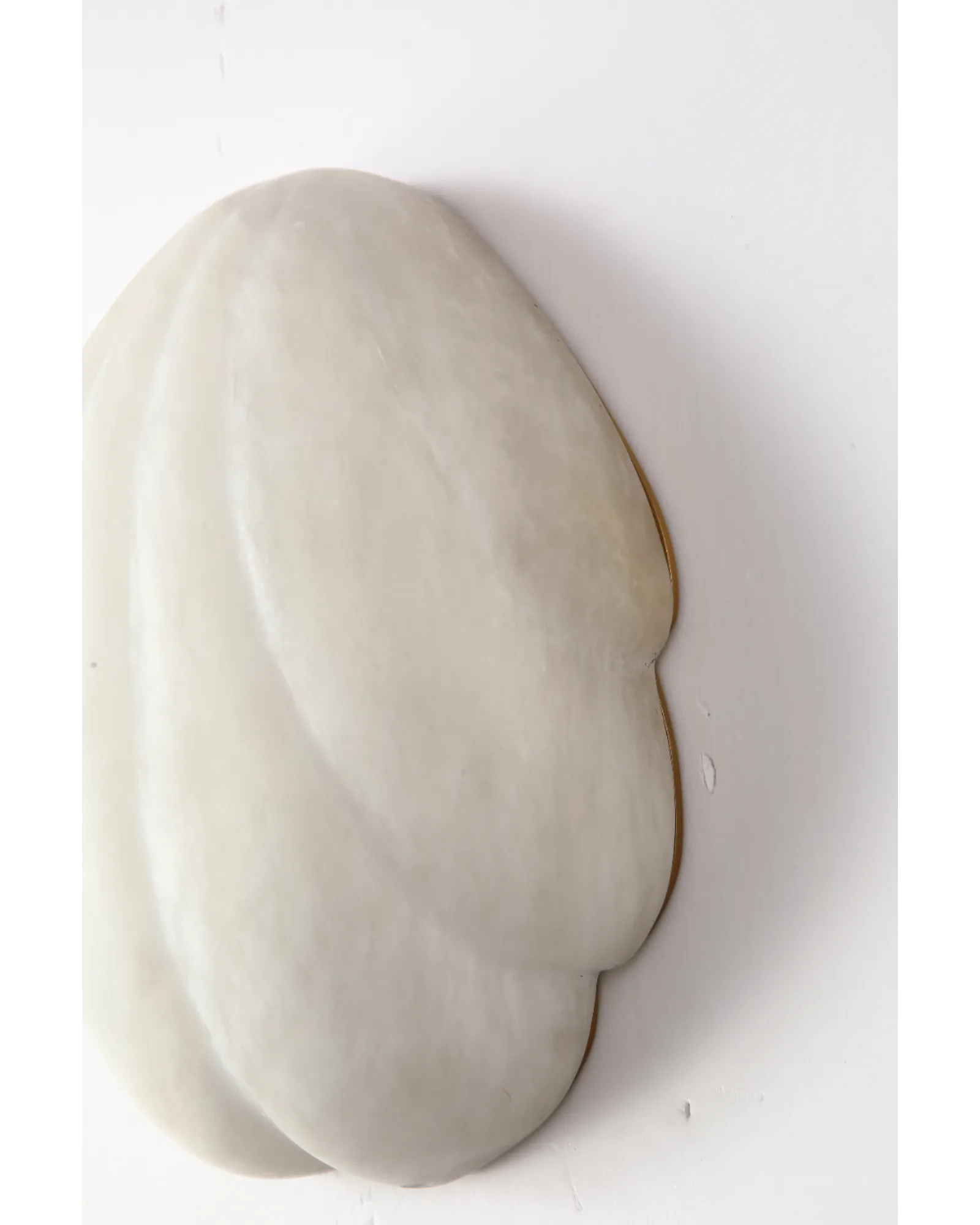 Coquille Sconce