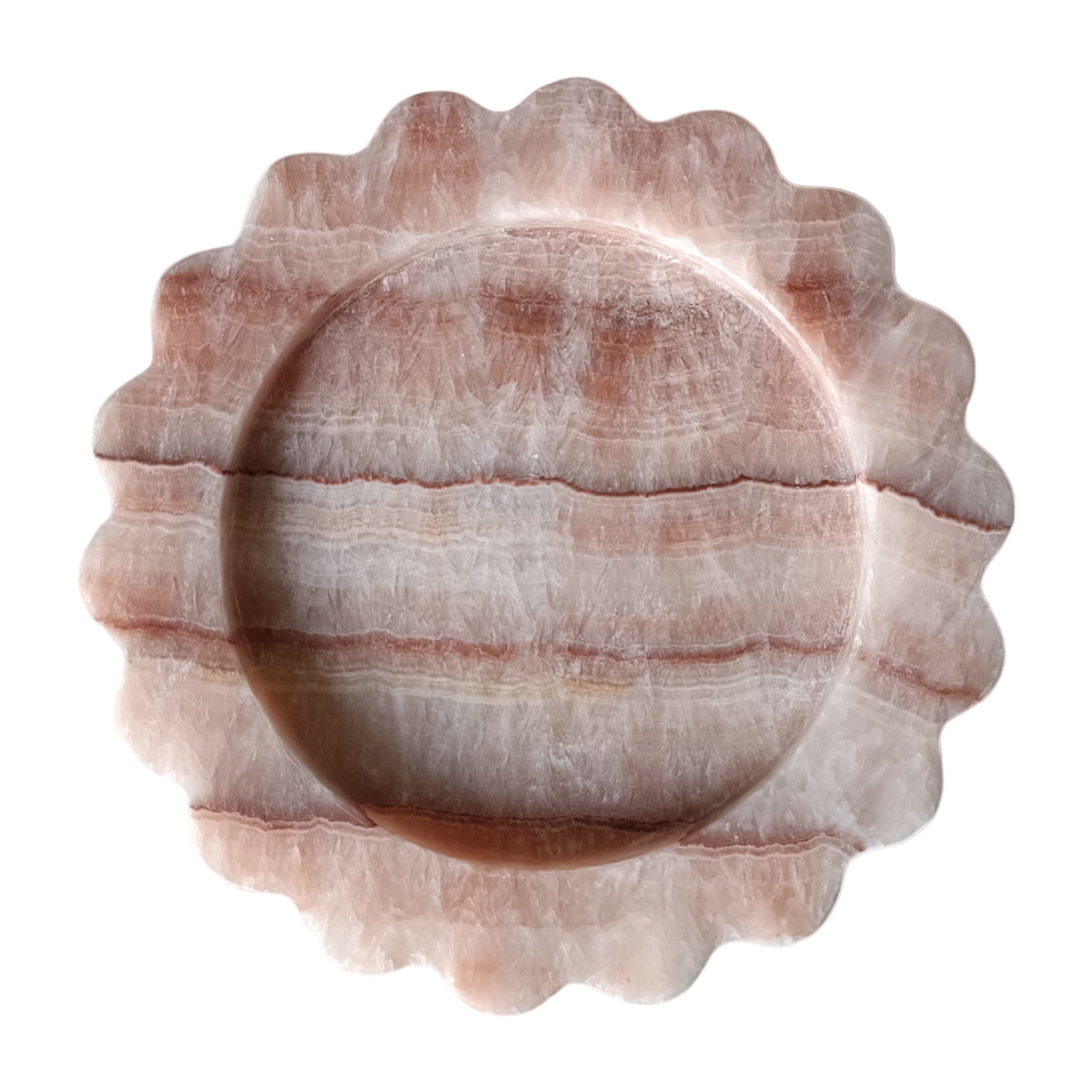 Camélia Tray - v21v13