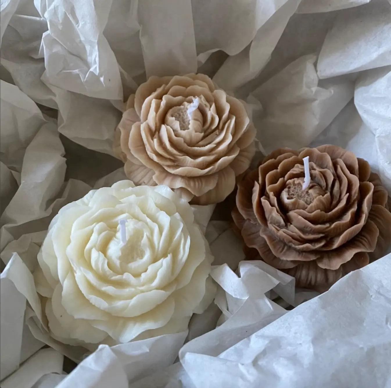 Rosélia Candle