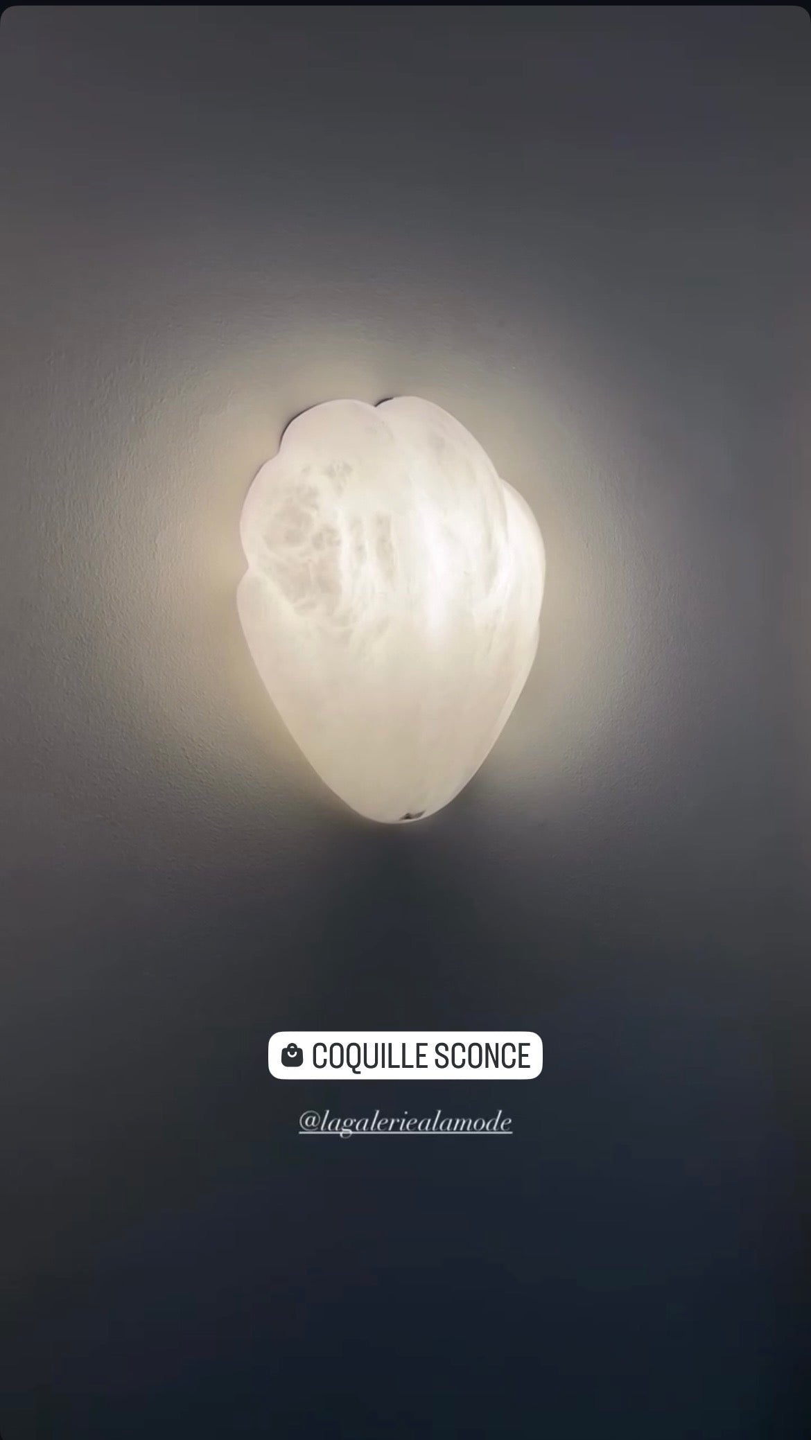 Coquille Sconce 