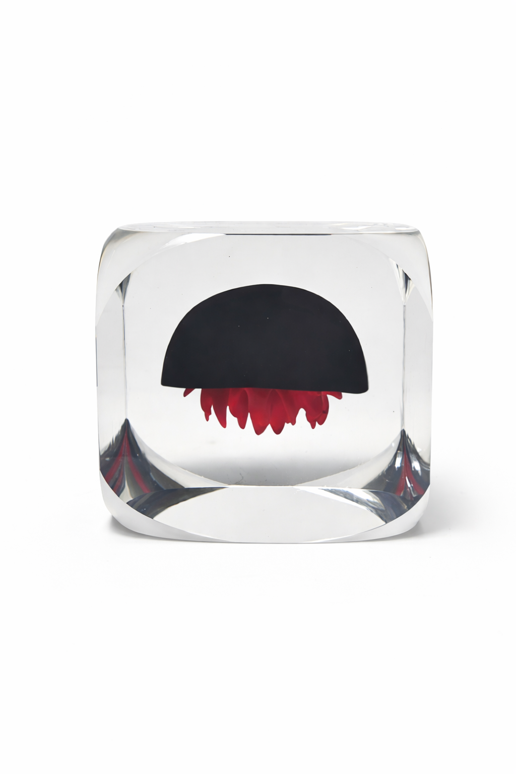 Éclat Méduse Object