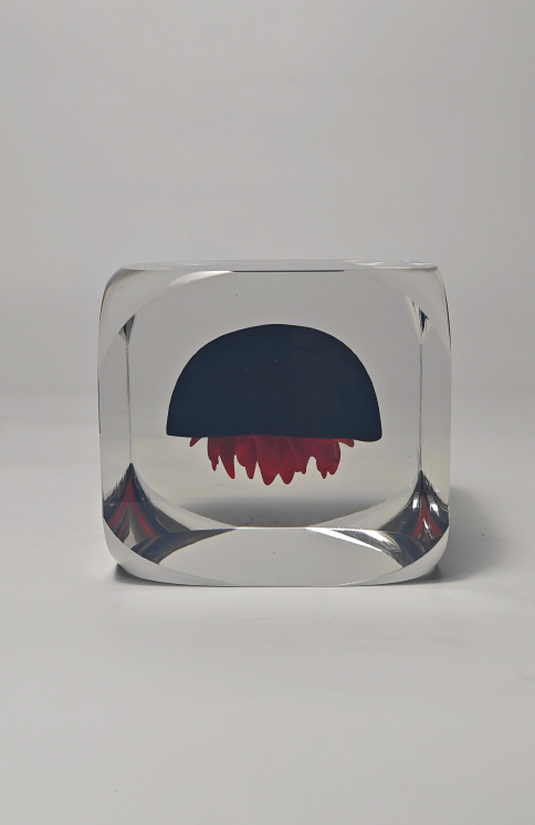 Éclat Méduse Object