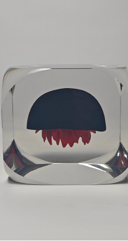 Éclat Méduse Object