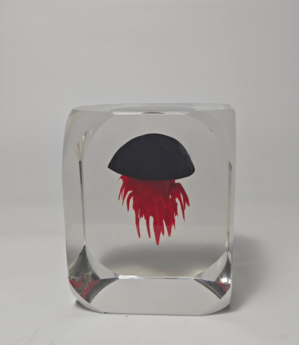 Éclat Méduse Object